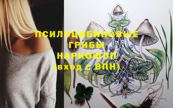 герыч Аркадак