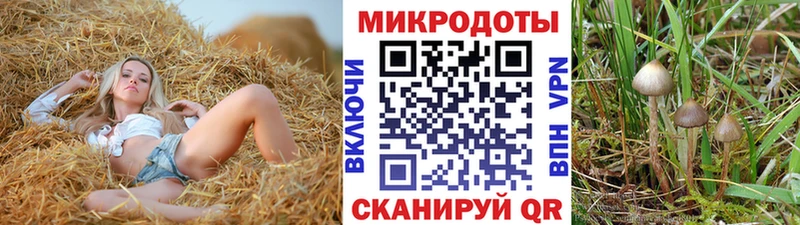 мега как зайти  Гуково  Галлюциногенные грибы мицелий 